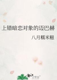 上错暗恋对象的迈巴赫